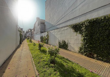 Dorrego 262